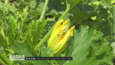 Journal du 23 juin 2022