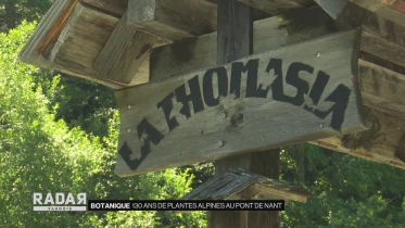 Journal du 12 juillet 2022