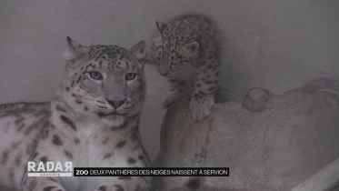 Journal du 22 juillet 2022