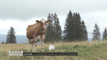 Journal du 26 juillet 2022