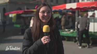 “Pintoiller”, “Taguenet” et “Berclure”