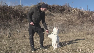Présenté par Lolita Morena