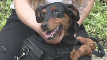 Présenté par Lolita Morena