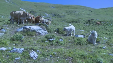 Présenté par Lolita Morena