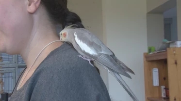 Présenté par Lolita Morena