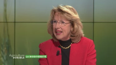 La biodiversité