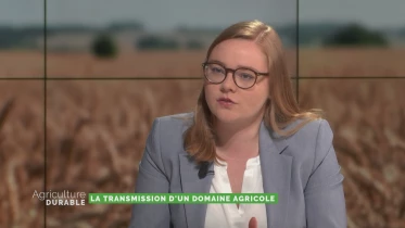 La transmission d&#039;un domaine agricole