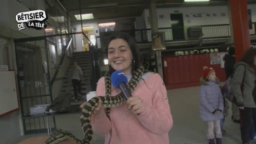 Les moments les plus insolites de La Télé