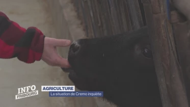 Journal du 27 février 2023