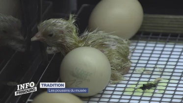 Journal du 10 avril 2023