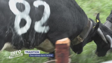 Journal du 17 avril 2023