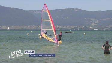 Journal du 29 mai 2023