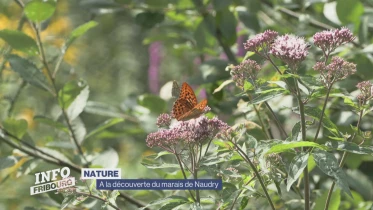 Journal du 17 juillet 2023