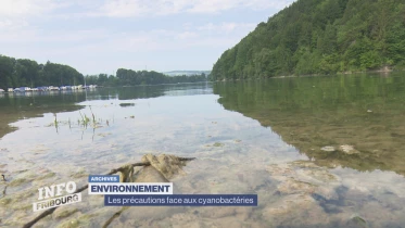 Journal du 28 juillet 2023