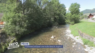 Journal du 2 août 2023