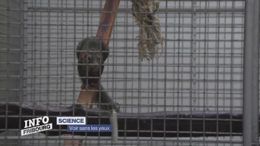 Journal du 21 novembre 2023