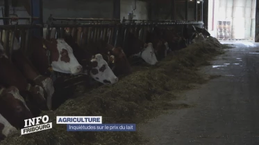 Journal du 1er décembre 2023