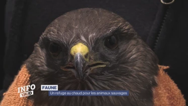 Journal du 6 février 2023