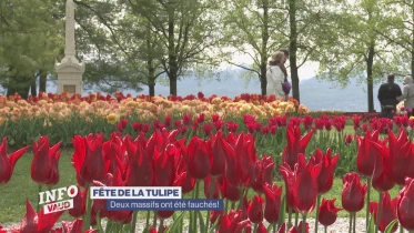 Journal du 31 mars 2023