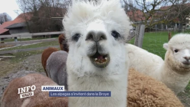 Journal du 14 avril 2023