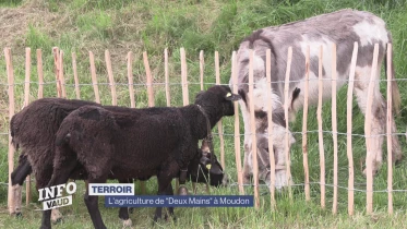 Journal du 15 mai 2023