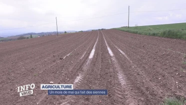 Journal du 16 mai 2023