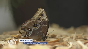 Journal du 3 juillet 2023