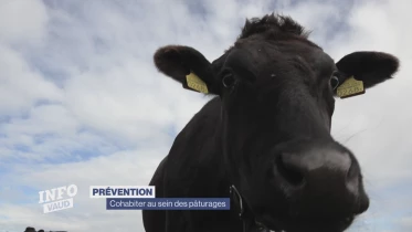 Journal du 8 août 2023