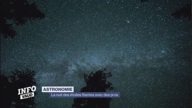 Journal du 11 août 2023