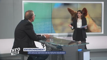 Journal du 19 octobre 2023