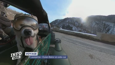 Journal du 20 octobre 2023