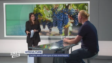 Journal du 25 octobre 2023