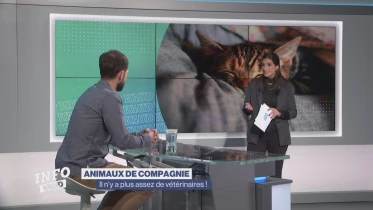 Journal du 17 novembre 2023