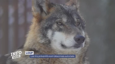 Journal du 1er décembre 2023