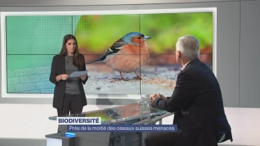 Journal du 15 décembre 2023