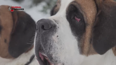 Journal du 22 janvier 2023