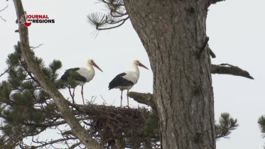 Journal du 5 mars 2023