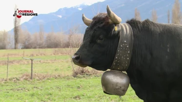 Journal du 19 mars 2023