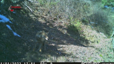 Journal du 10 avril 2023