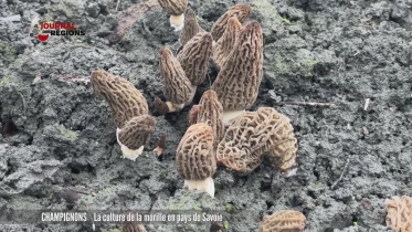 Journal du 23 avril 2023