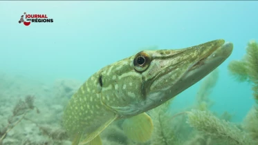 Journal du 30 avril 2023