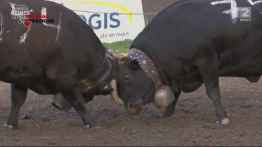 Le journal du 21 mai 2023