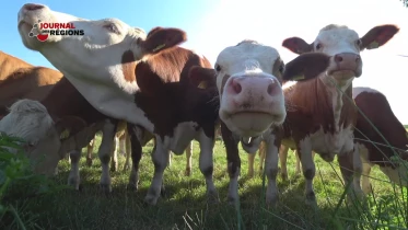 Journal du 24 septembre 2023