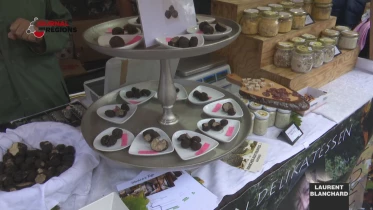 Journal du 4 novembre 2023