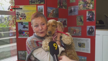 Journal du 11 novembre 2023