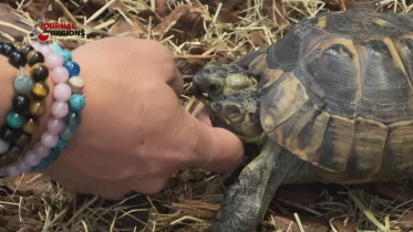 Journal du 25 novembre 2023