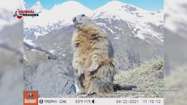 Journal du 9 décembre 2023