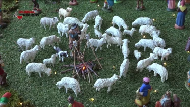 Journal du 16 décembre 2023