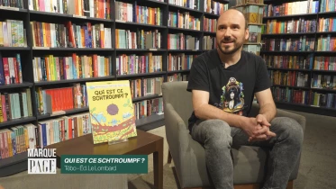 Qui est ce Schtroumpf?