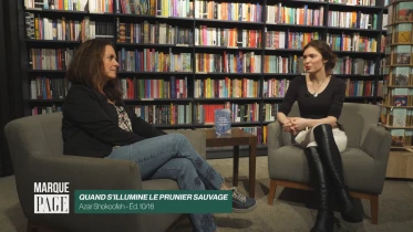 Quand s&#039;illumine le prunier sauvage